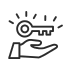 feature icon